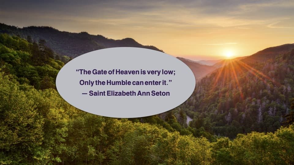 Quote of the Week by Saint Elizabeth Ann Seton