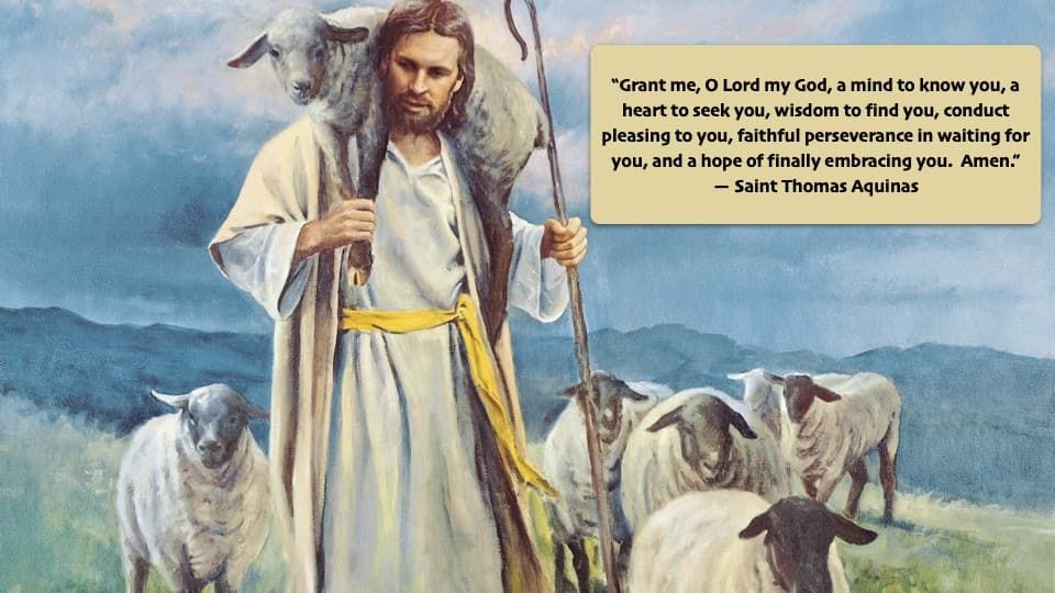 Quote of the Week by Saint Thomas Aquinas