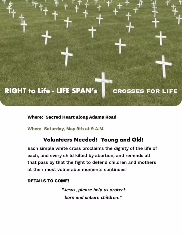 Sacred Heart's Crosses for Life - Protecting the Born and Unborn!