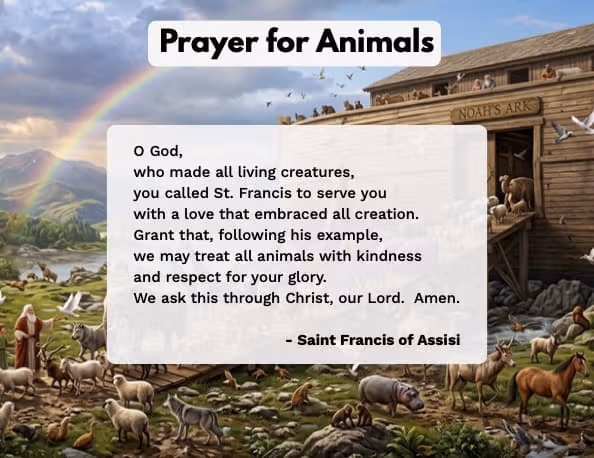 Prayer for Animals by Saint Francis of Assisi