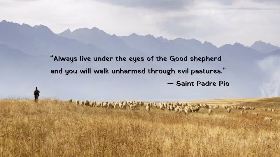 Quote of the Week by Saint Padre Pio