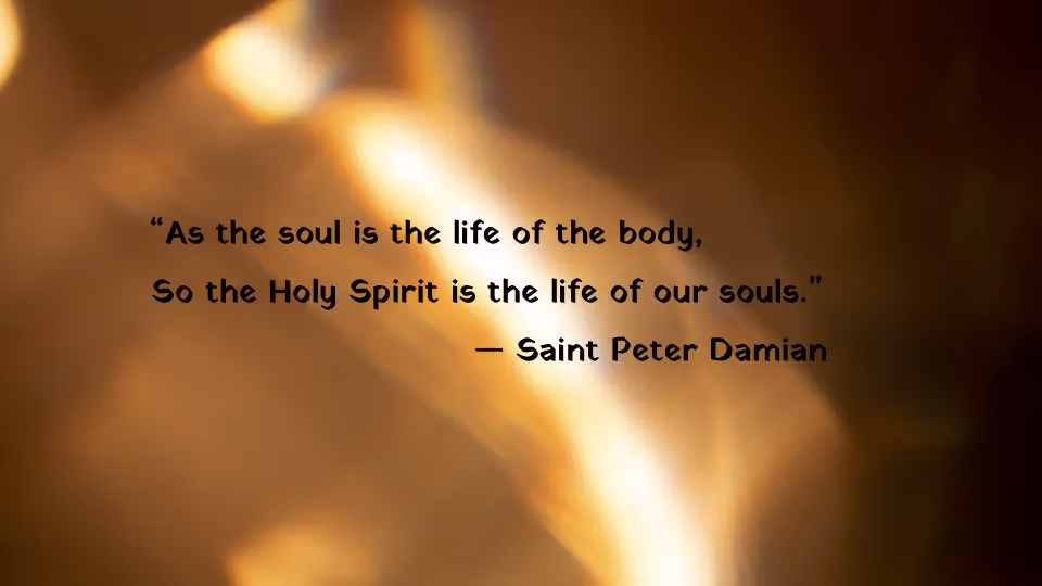 Quote of the Week by Saint Peter Damian