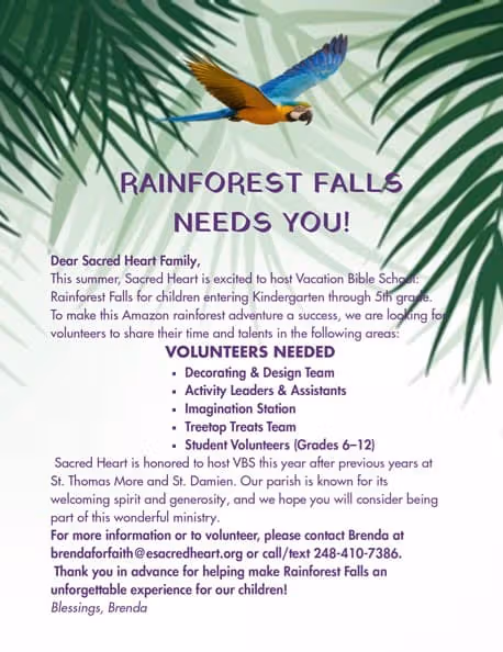 Volunteers Needed for Vacation Bible School